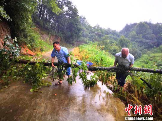 安徽省六安市霍山县村民展开自救，清理倒塌树木。　张金柱摄