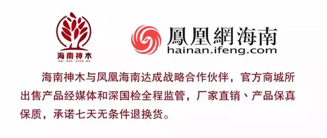 中国人均情人_情人简谱蔡徐坤