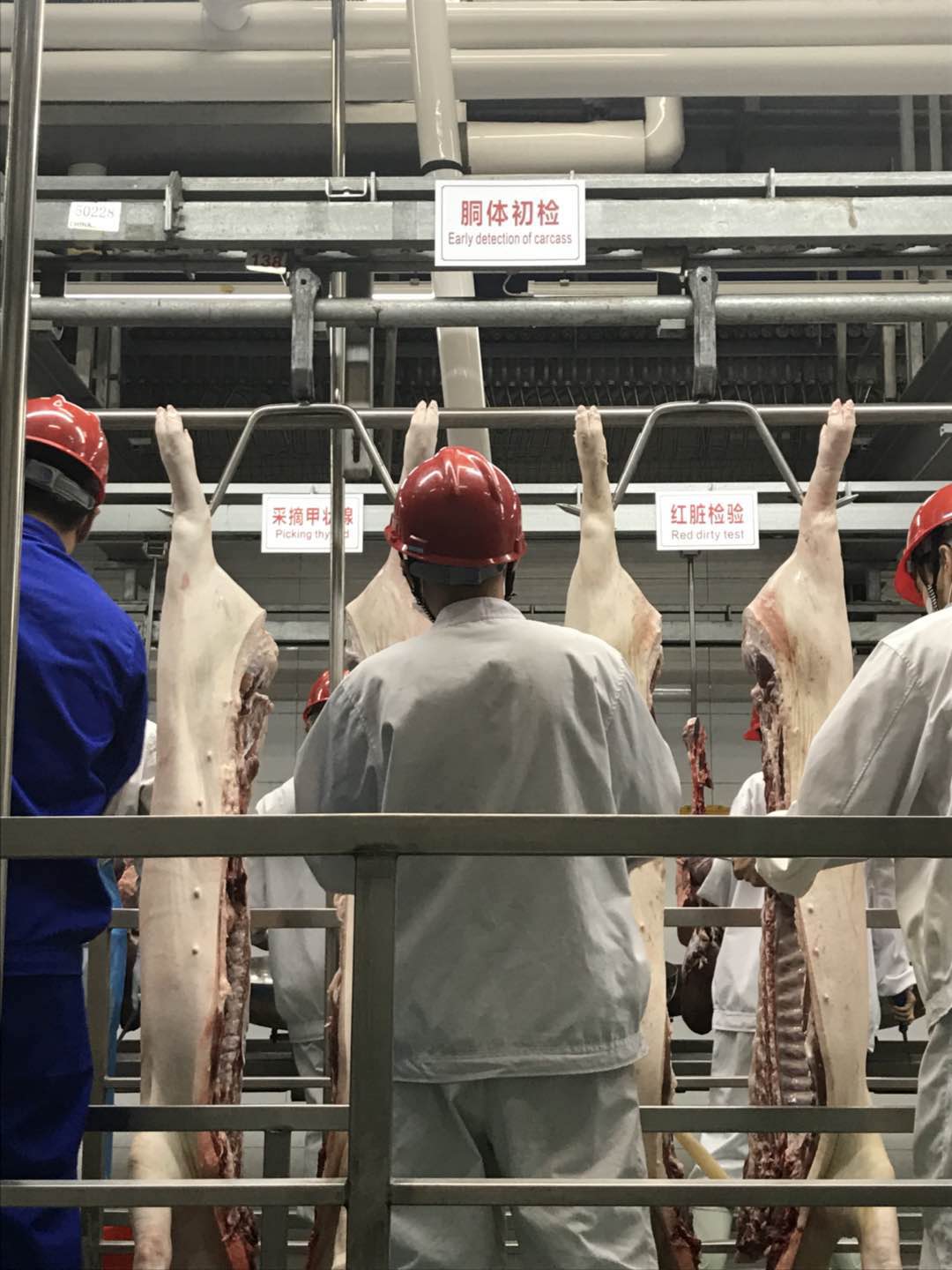 厉害了！全国最大的猪头加工生产线登陆泰兴_我苏网