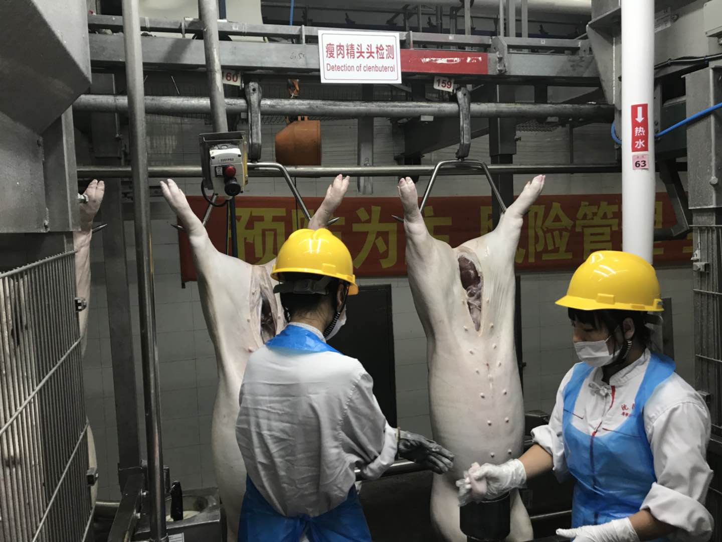 猪屠宰设备胴体加工自动线 - 产品中心 - 青岛正雨食品机械制造有限公司