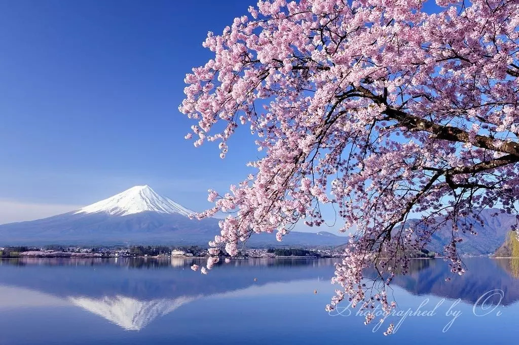 ins博主拍了1000多张照片全是富士山 每一张都