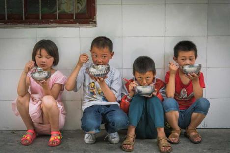 小牛在线 宝贝很牛 助力 助雏起飞计划 _凤凰网