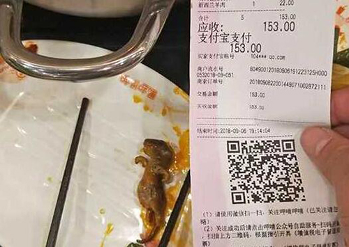 孕妇曝吃呷哺呷哺火锅吃出老鼠，店家：无证据证明是餐厅过失