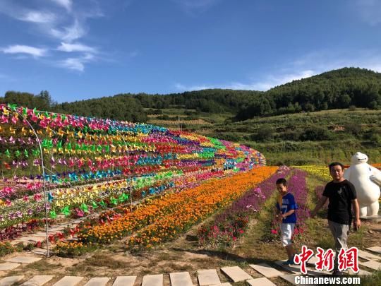 初秋时节，甘肃甘南藏族自治州正值旅游旺季，成片的花海分布在藏寨的周围，“花经济”已然成了当地旅游的另一热点。　徐雪摄