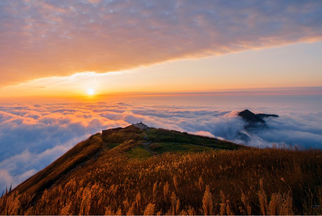 美得醉心 武功山绝色秋景已经上线(组图)