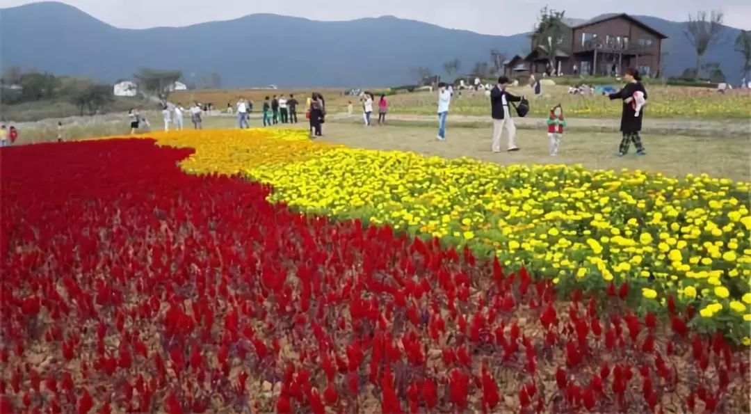 全国中小城市百强新鲜出炉 合肥多县市区上榜
