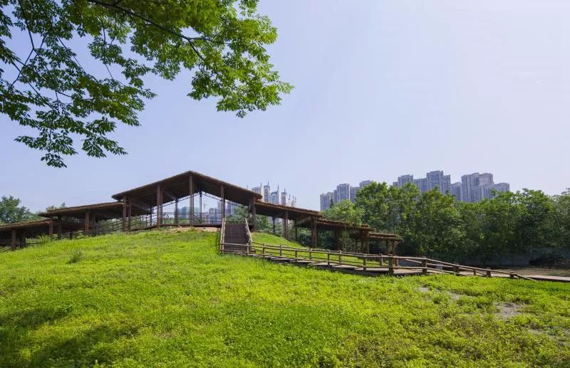 【2018南丝路邛崃半程马拉松】文君妹儿带您