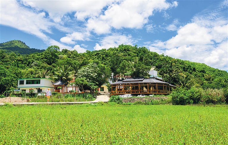 五指山市毛纳村充分发挥生态和资源优势 打出