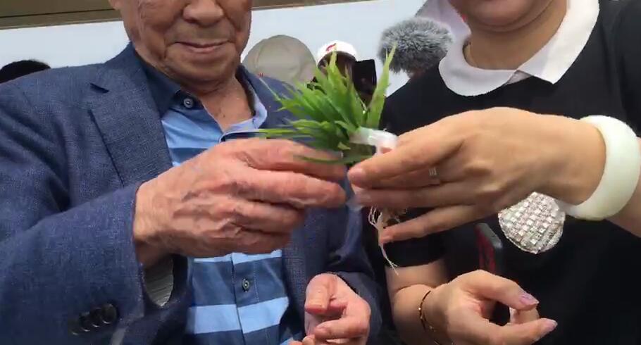 点击查看大图
