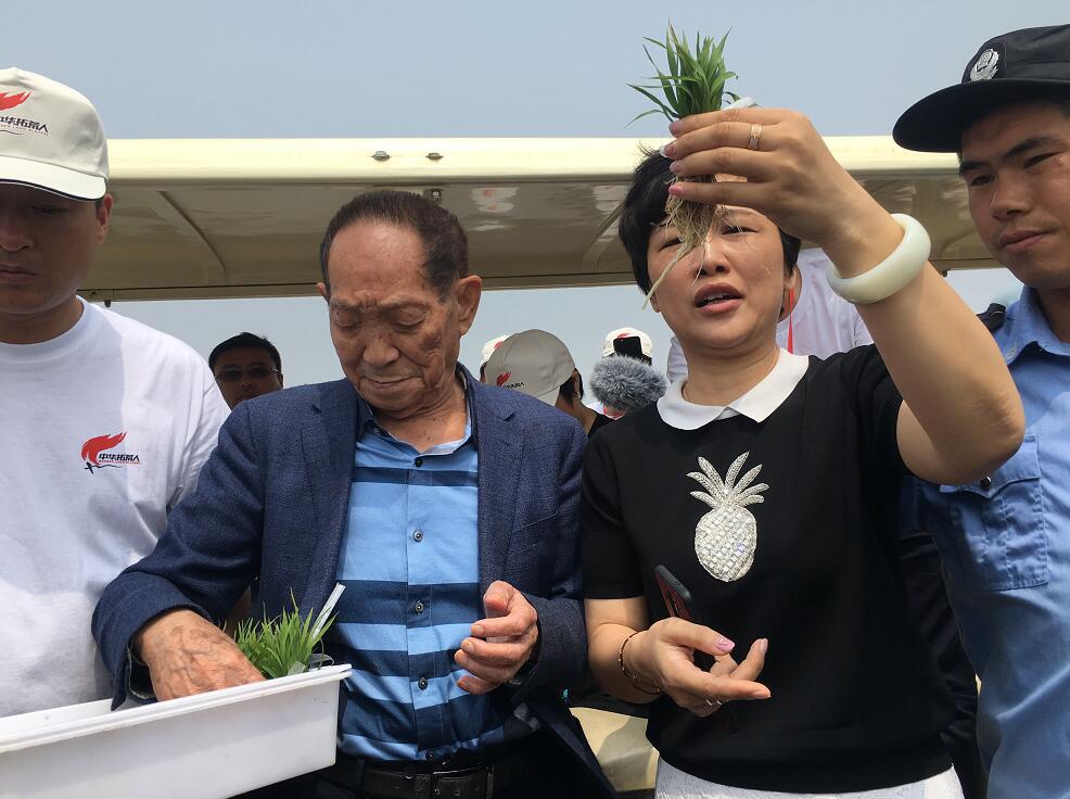 点击查看大图