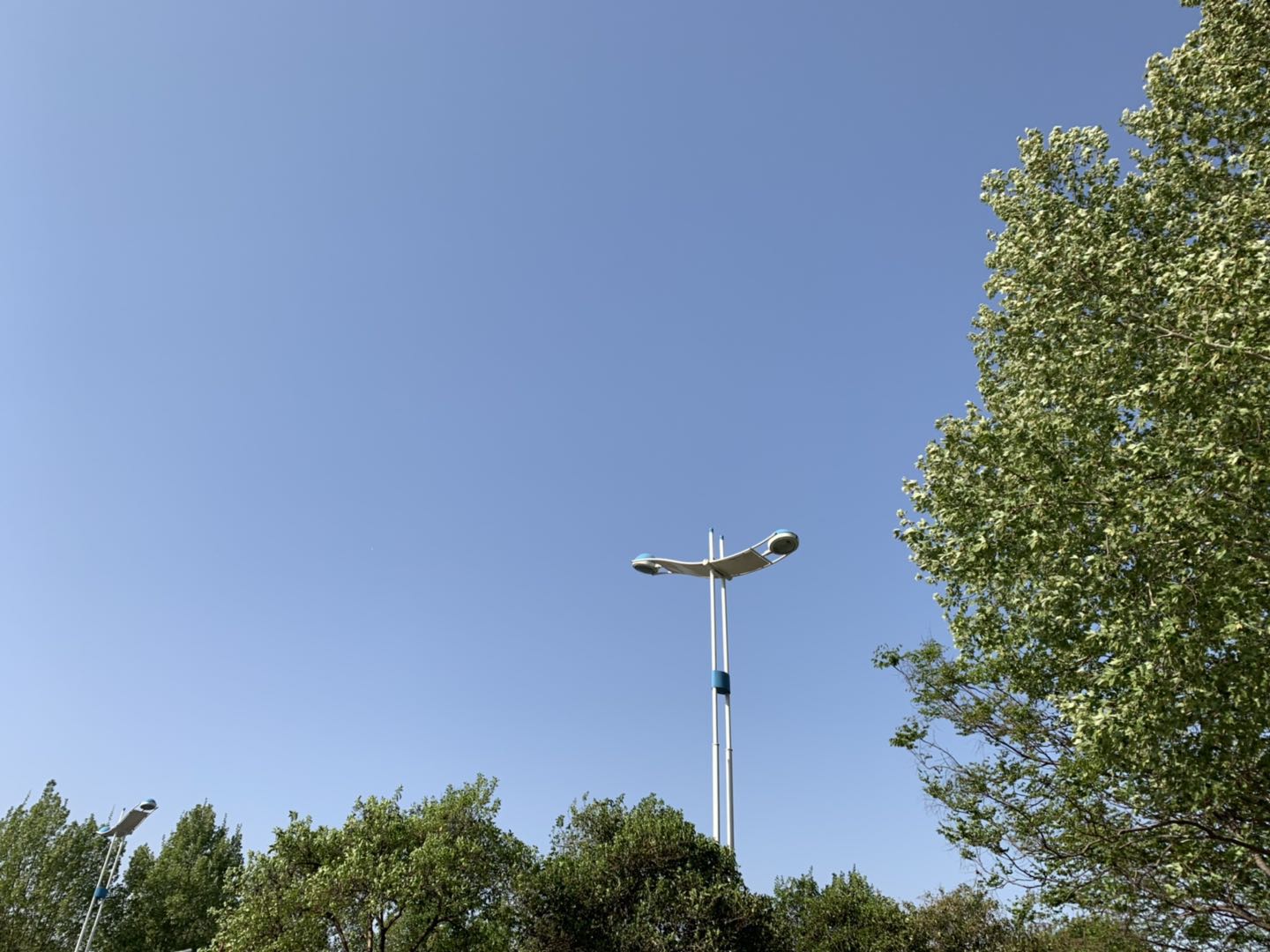 山东解除大风蓝色预警 冷空气将持续到周末