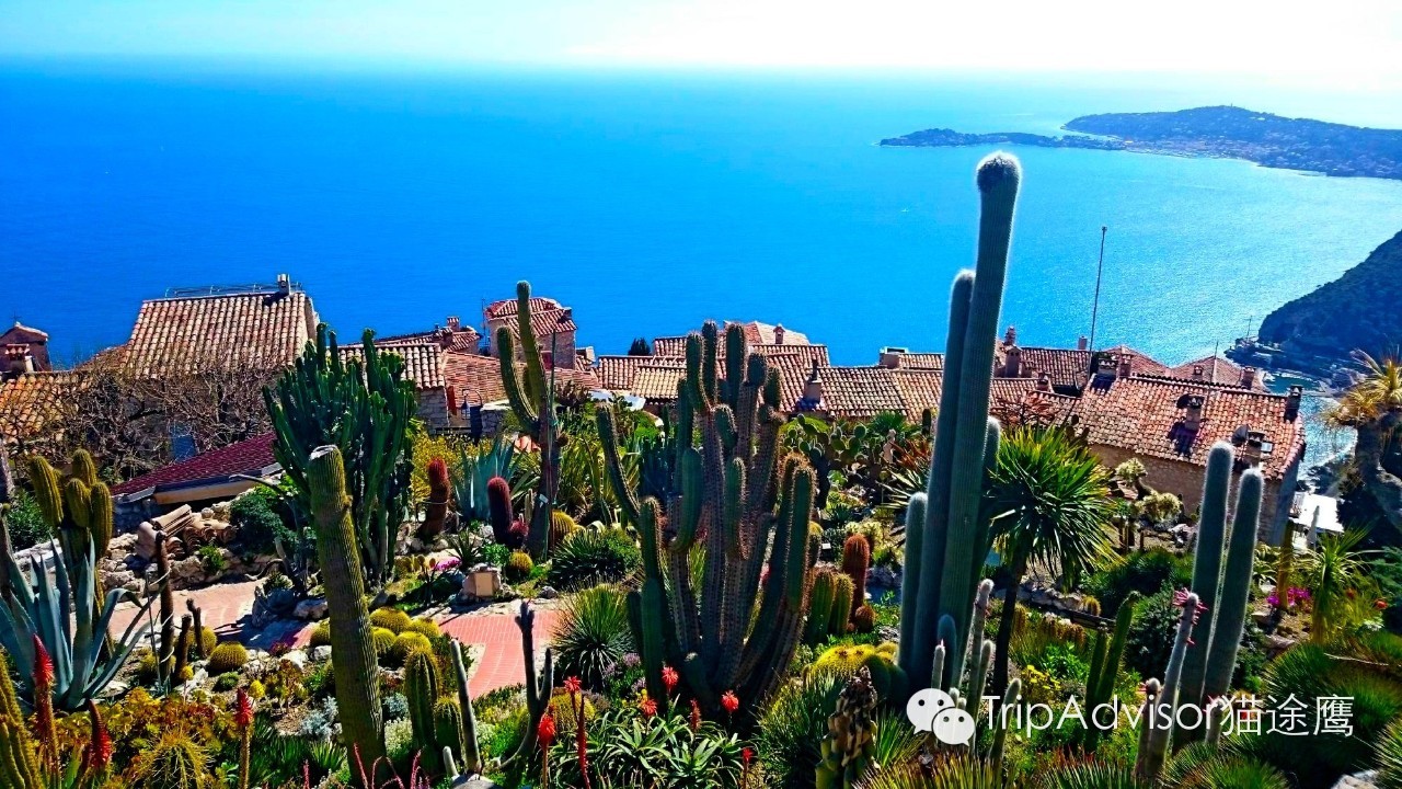 走不了戛纳红毯 逛逛南法小城也挺好_凤凰旅游