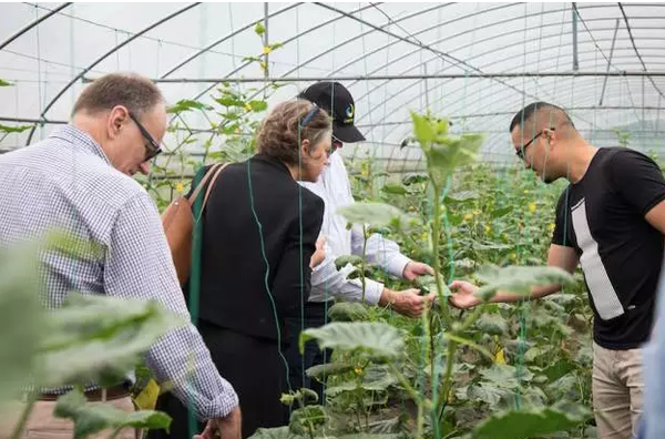 成都尚作有机蔬菜诚信品质成就健康安全食材品