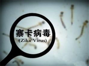 中国研究团队全球率先揭开寨卡病毒复制奥秘(图)