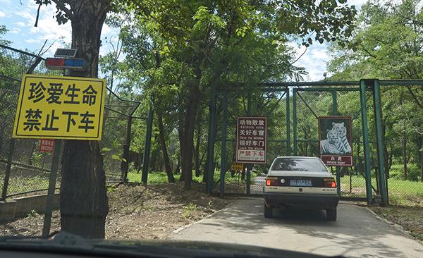 北京八达岭野生动物园:老虎伤人的虎园仍在关闭状态
