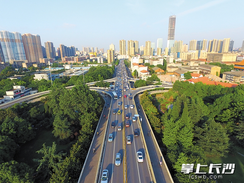 莫斯科人均绿地面积_人均公共绿化面积(3)