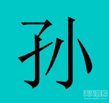 姓孙的人口_人口普查图片