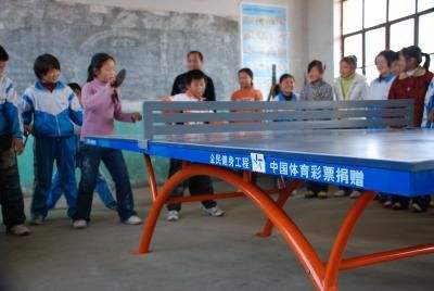 华西村人均收入_人均体育经费投入(2)