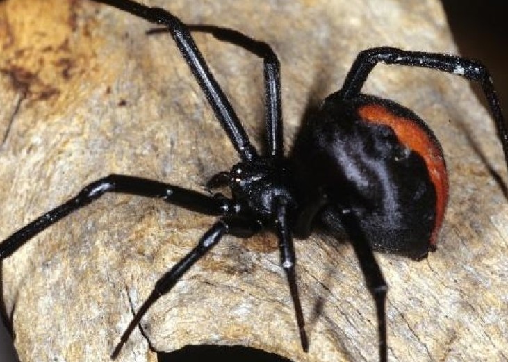 河南省民政厅:兰考火灾有必然性