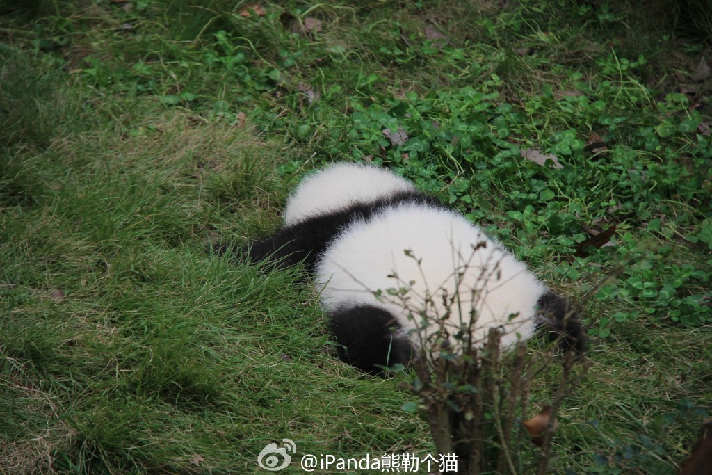 晚FUN来了160615:吵架的时候少说一句 道歉时就少花一千