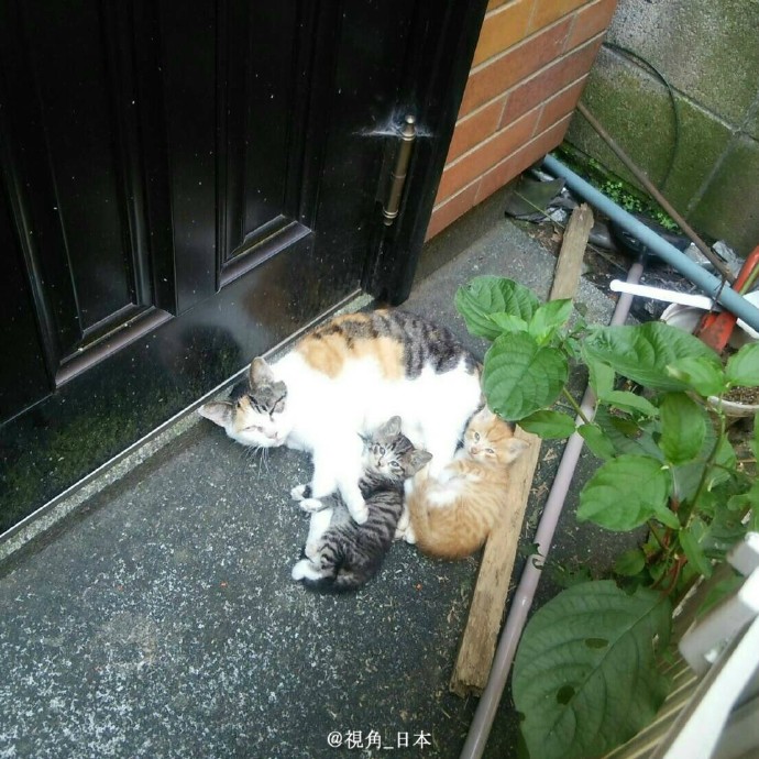 囧图160710:丑是一辈子的，根本不会好起来|45图