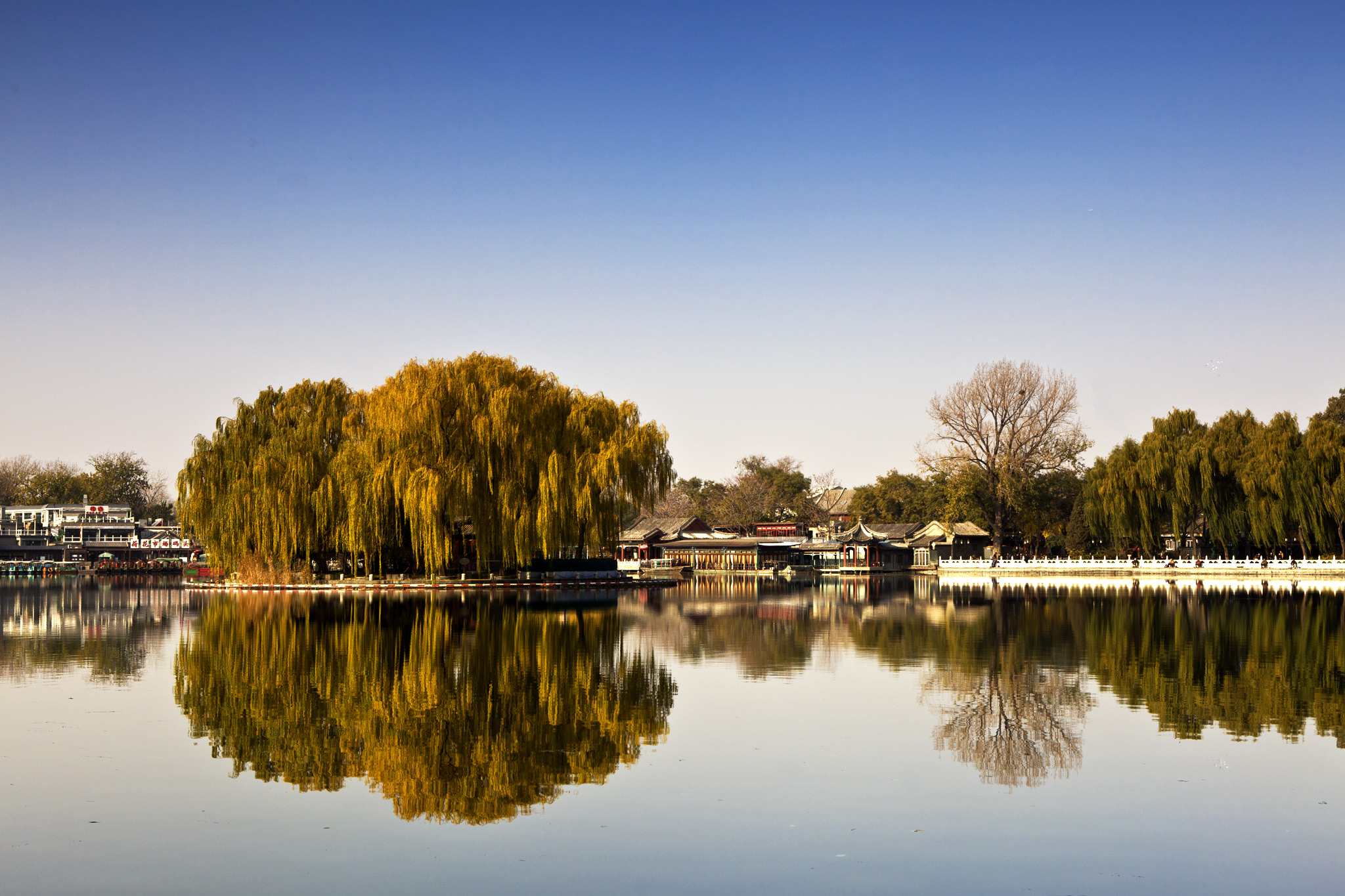 石嘴山在线电视娱乐八卦长安遐思,蔚然太和在