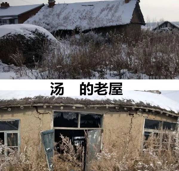 黑龙江高院将审查汤兰兰案被告申诉