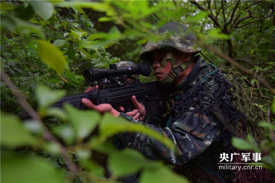 在丛林中搜索狙击目标。徐伟摄