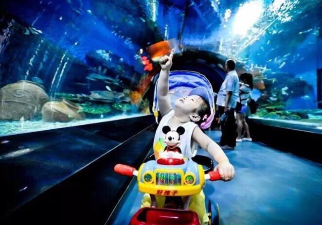 巴南区极地海洋公园 将在今年国庆前投运_凤凰资讯