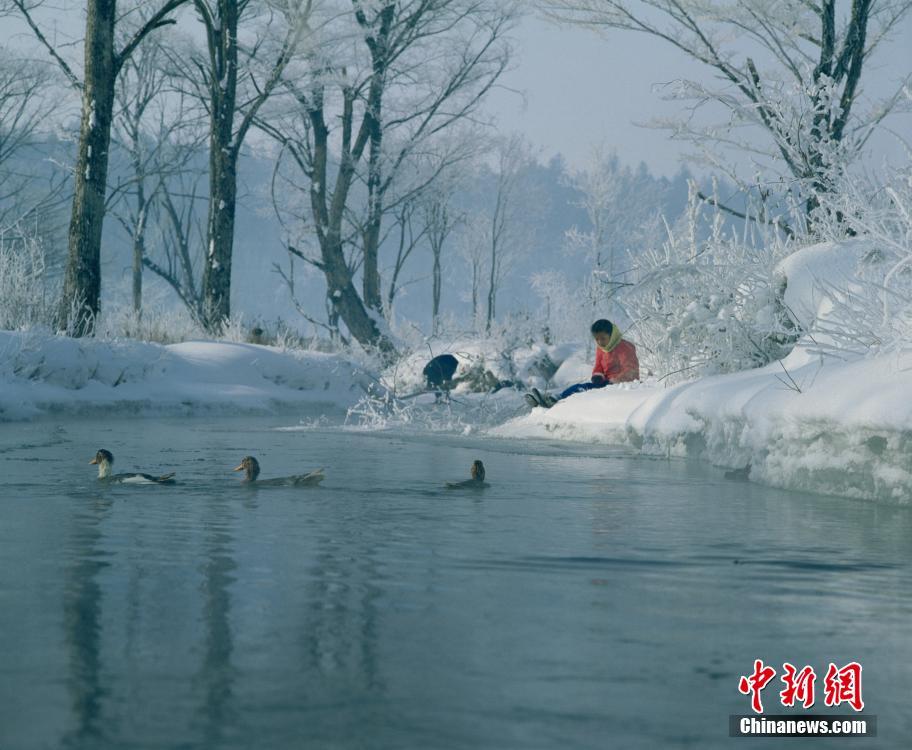 每年冬季,吉林市都会举办雾凇冰雪节,除了有各种冰雪活动,最吸引摄影发烧友的莫过于那北国特有的奇观吉林雾凇。吉林市位于吉林省省会长春市以东80公里,松花江在市区穿流而过,著名的丰满发电站使江水在严冬仍不冰封,照样川流不息。较温暖的江水在强烈温差的情况下呈现出热气蒸腾的景象,上升的水汽在遇冷后就在岸边的树枝和草丛上结霜,形成树挂,这就是吉林市独特的人工加自然环境而产生雾凇的原因。沿着江畔探索,有一个拍摄雾凇特别好的地方,那就是位于吉林市北面30公里的雾凇岛,它是松花江下游的一个天然江心岛,面积只有50公顷,