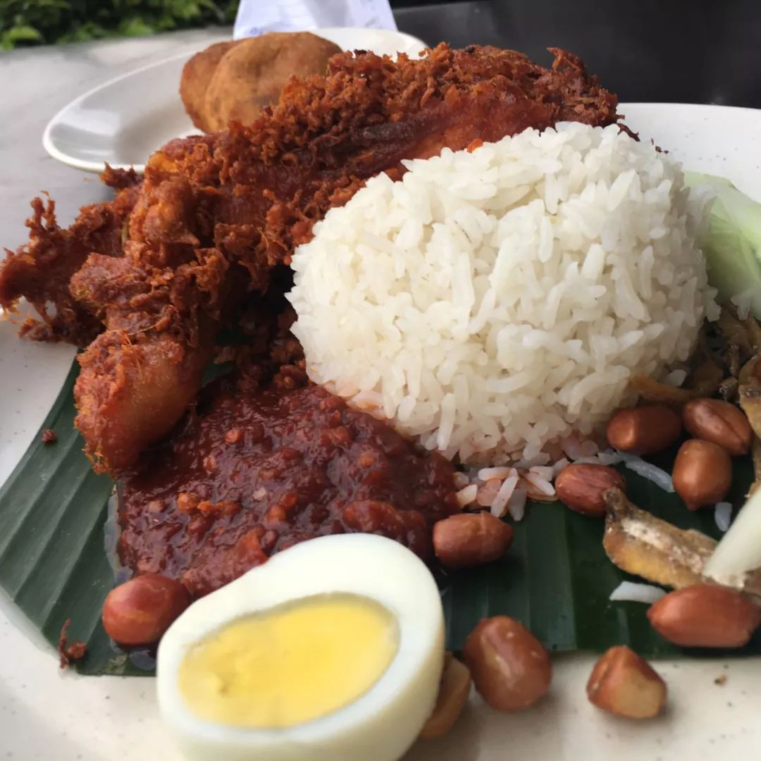 马来椰汁饭图片