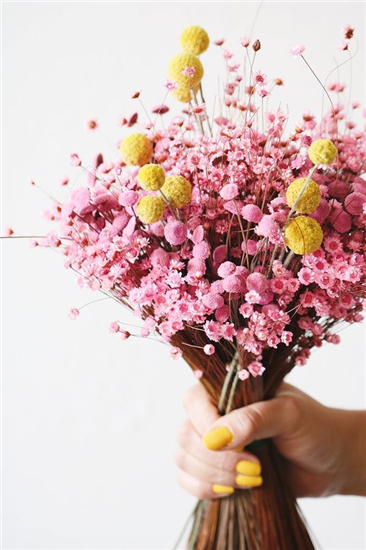 千日红是种一年生直立草本植物,在每个枝头都能开出球型小花,而且