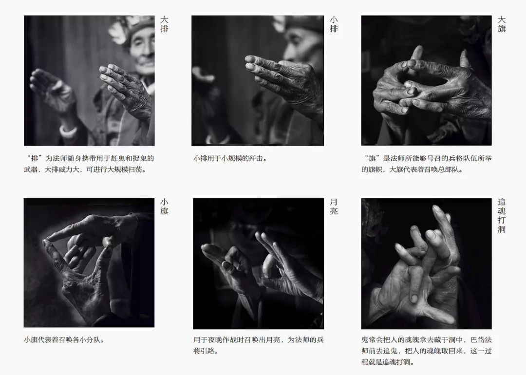 摄影/张谨