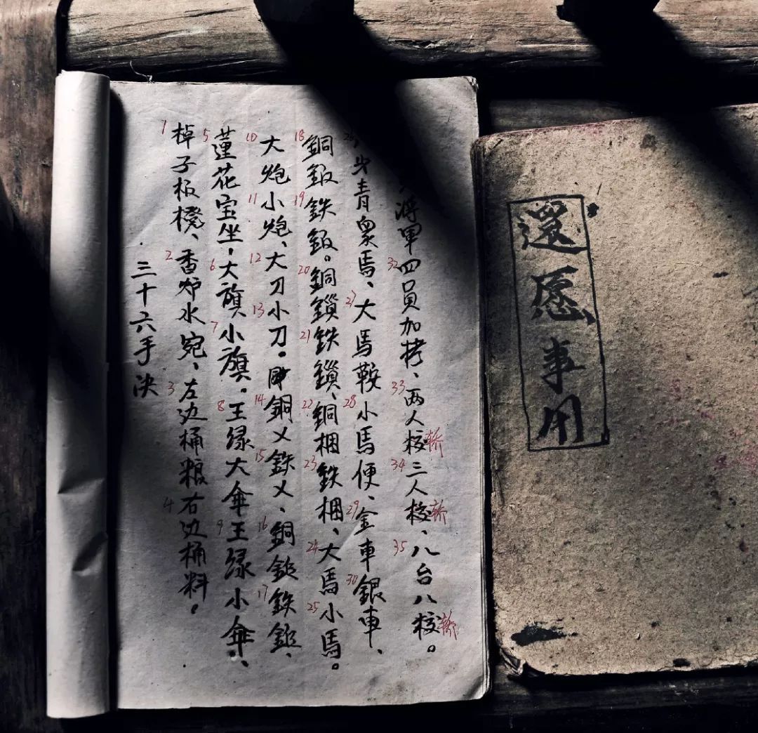摄影/张谨