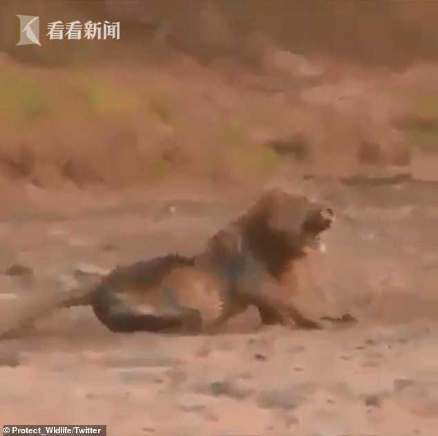 文章配图