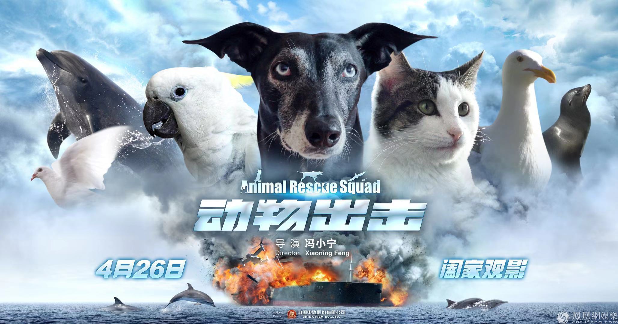白腹山鼠是保护动物吗
