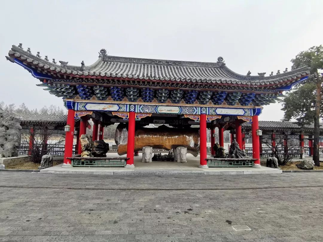 敢吃熊掌老虎肉曹园的主人什么来头