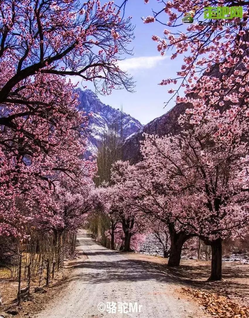 四月份这10条小众但景色绝美的路线 再不去就"变样"了!