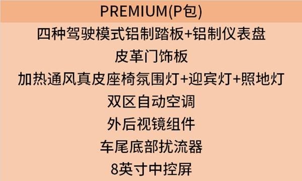 2019款进口加版福特野马 豪华超跑实拍