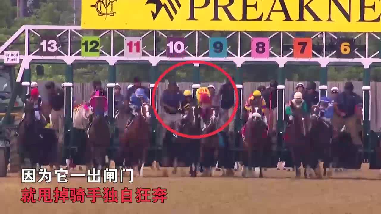 现场：美国赛马甩飞骑手 一路独自狂奔冲过终点