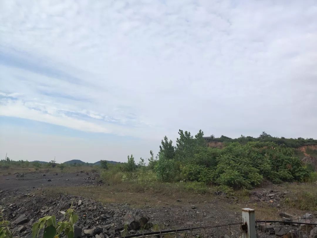 贾跃亭内蒙古造车真相:仅单方意向 莫干山土地空置3年恐被收回