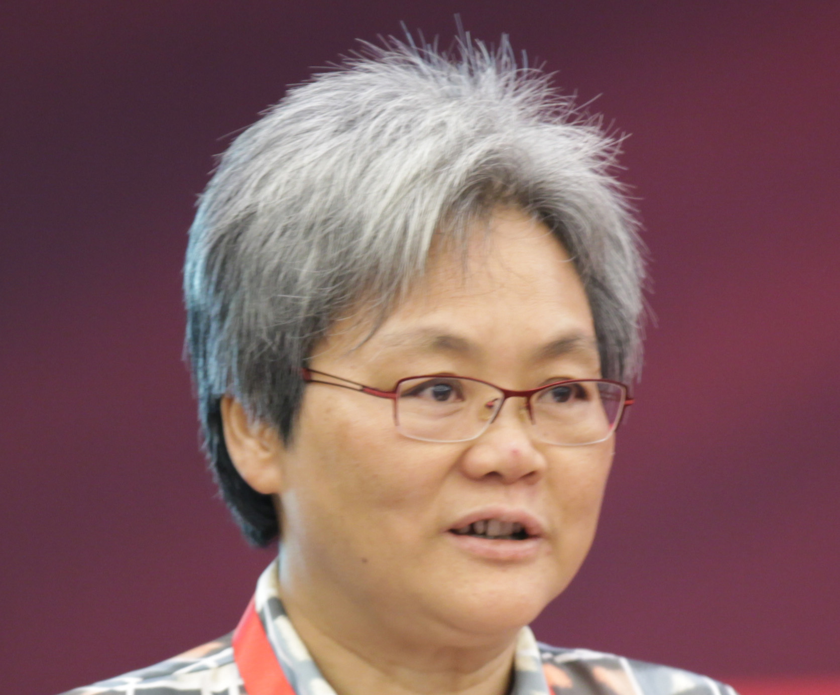 中国人民大学法学院教授马小红:风俗是民法的基础,但民法的目的不是