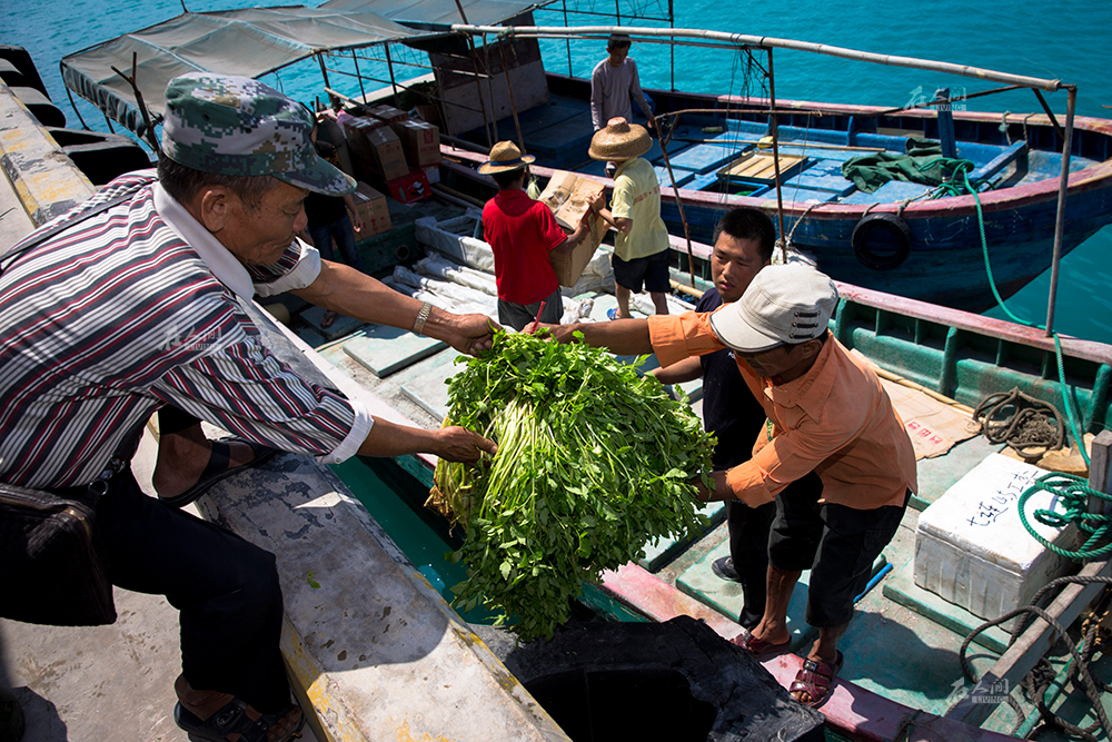 三沙市永兴岛,赵述岛的居民正在搬运从海南本岛运输过来的蔬菜等补给.
