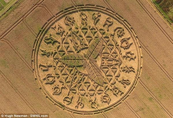 英国惊现“麦田怪圈” 外星人又来地球了?_手机凤凰网
