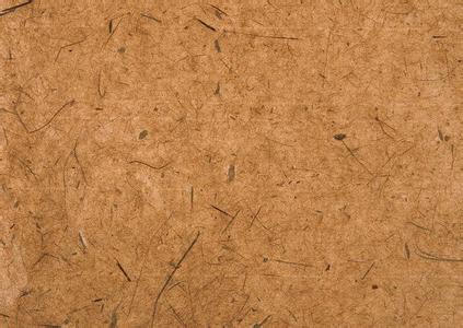 元明清:粗纸时代.