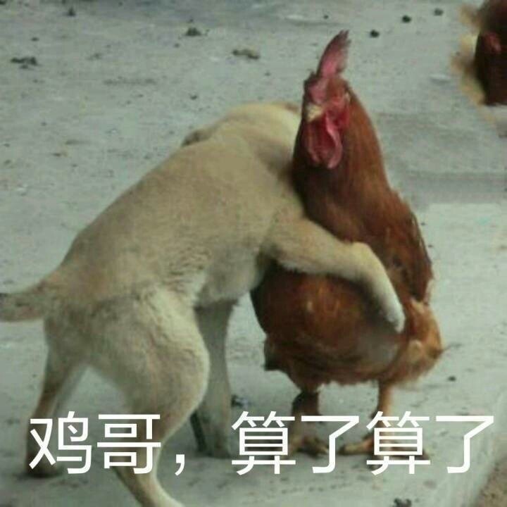 推特上为什么那么多鸡=推特为什么那么多人发黄
