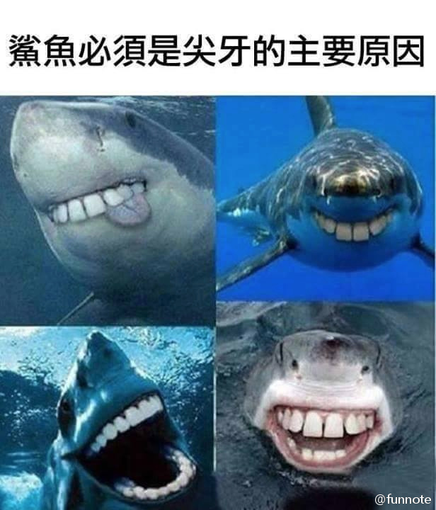 这个故事告诉我们