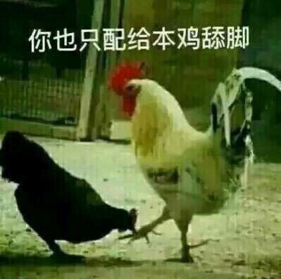 [FUN来了]福建人口感好 是广东人无法抵挡的美味_凤凰资讯