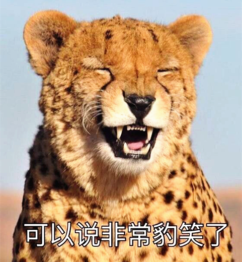 7,【新疆拜城一雪豹咬死36只羊吃太饱被困羊圈】一只成年雪豹闯进牧民