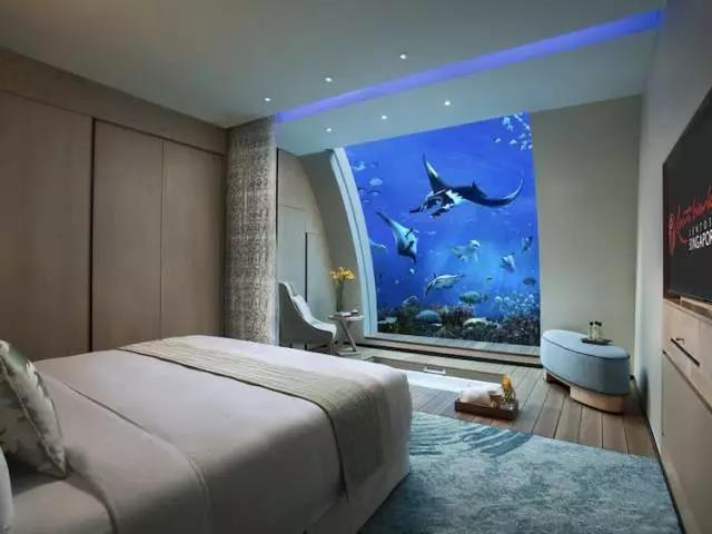 这8个酒店的海底房间,装下了海洋世界